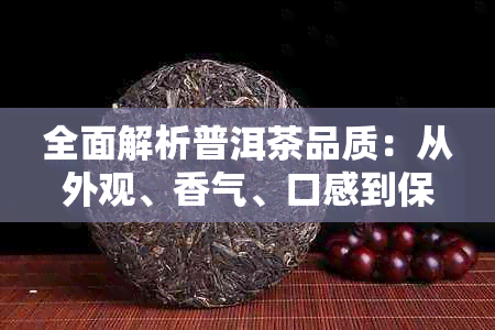 全面解析普洱茶品质：从外观、香气、口感到保存方法，一文教你轻松辨别好坏