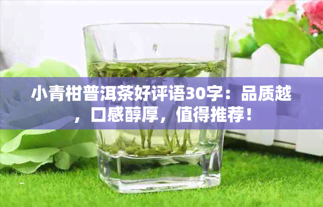 小青柑普洱茶好评语30字：品质越，口感醇厚，值得推荐！