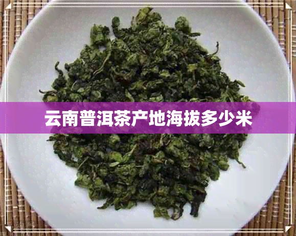 云南普洱茶产地海拔多少米