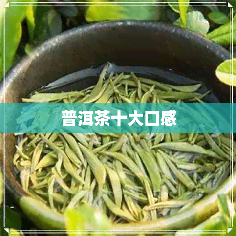 普洱茶十大口感