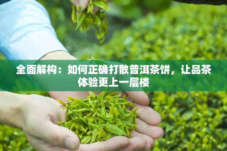 全面解构：如何正确打散普洱茶饼，让品茶体验更上一层楼