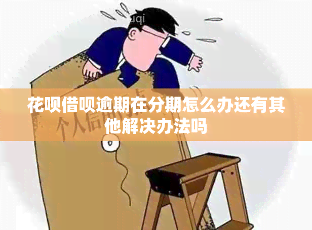 花呗借呗逾期在分期怎么办还有其他解决办法吗