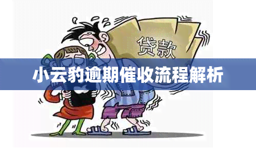 小云豹逾期流程解析