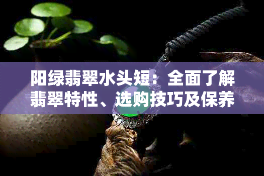 阳绿翡翠水头短：全面了解翡翠特性、选购技巧及保养方法的指南