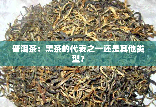 普洱茶：黑茶的代表之一还是其他类型？