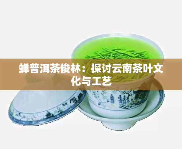 蝉普洱茶俊林：探讨云南茶叶文化与工艺