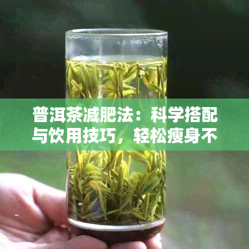 普洱茶减肥法：科学搭配与饮用技巧，轻松瘦身不反弹