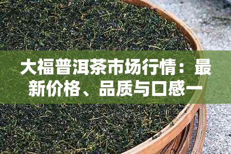 大福普洱茶市场行情：最新价格、品质与口感一览