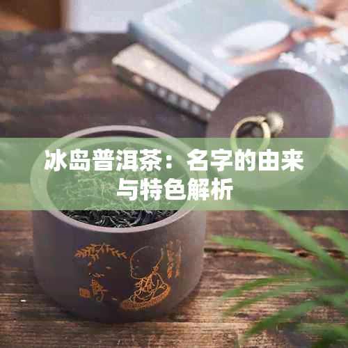 冰岛普洱茶：名字的由来与特色解析