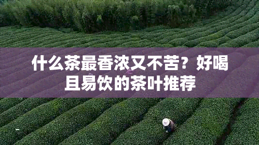 什么茶最香浓又不苦？好喝且易饮的茶叶推荐