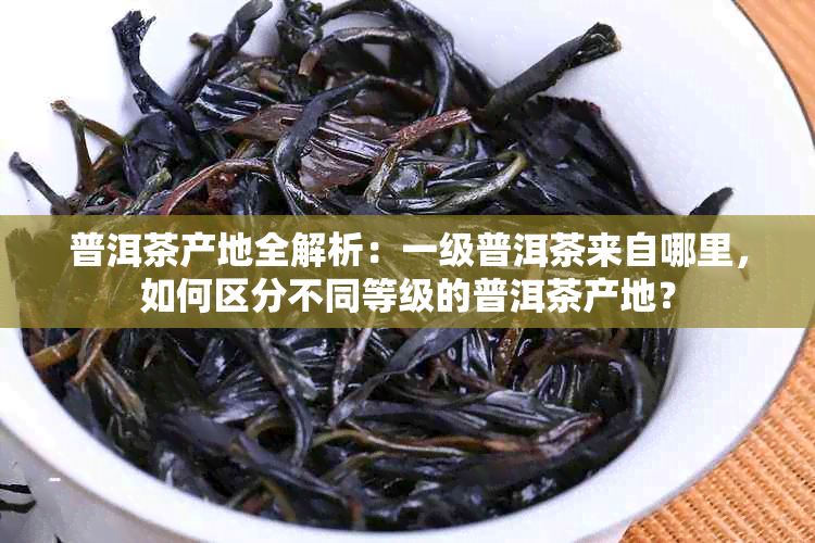 普洱茶产地全解析：一级普洱茶来自哪里，如何区分不同等级的普洱茶产地？