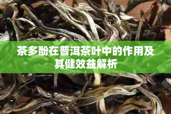 茶多酚在普洱茶叶中的作用及其健效益解析