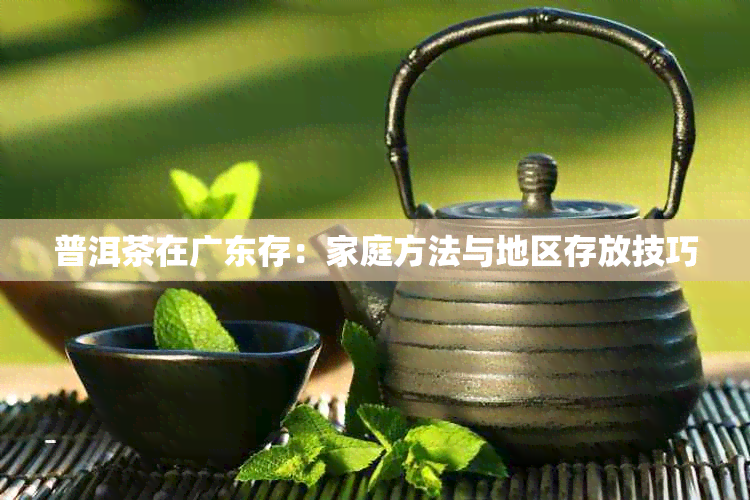 普洱茶在广东存：家庭方法与地区存放技巧