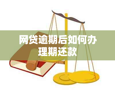 网贷逾期后如何办理期还款