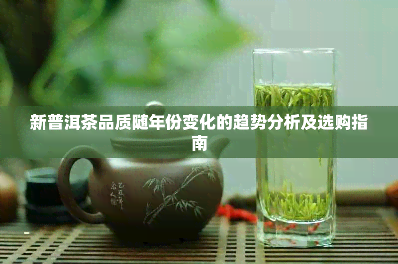 新普洱茶品质随年份变化的趋势分析及选购指南