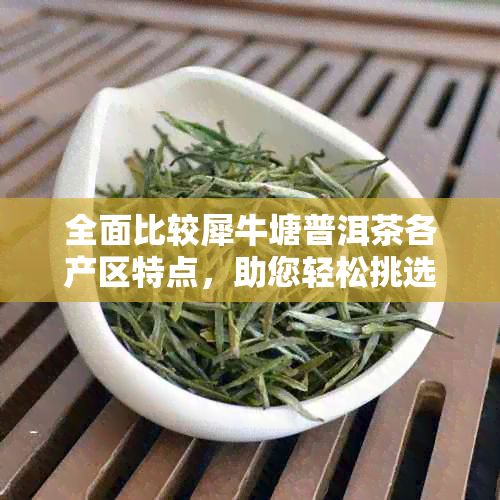 全面比较犀牛塘普洱茶各产区特点，助您轻松挑选优质茶叶