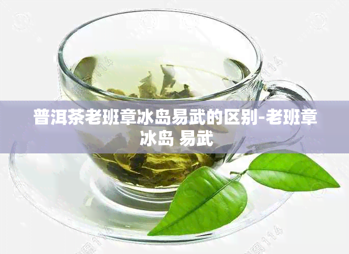 普洱茶老班章冰岛易武的区别-老班章 冰岛 易武