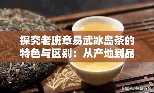 探究老班章易武冰岛茶的特色与区别：从产地到品饮体验全方位解析！