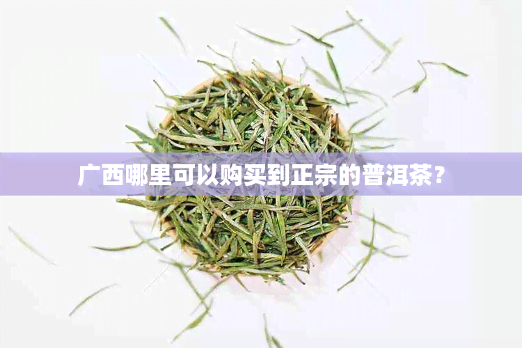 广西哪里可以购买到正宗的普洱茶？