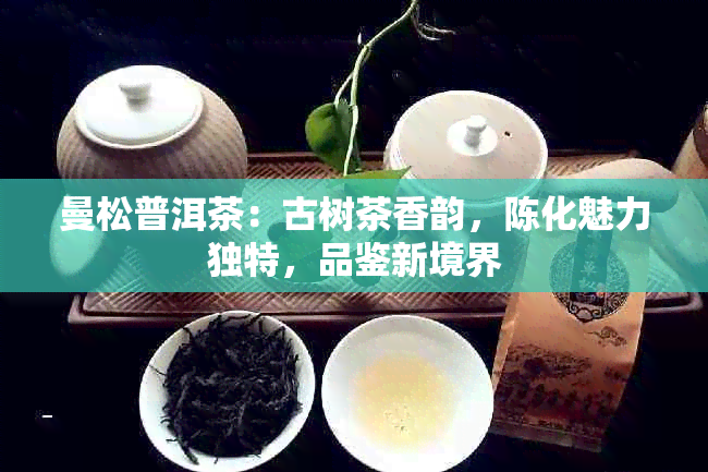 曼松普洱茶：古树茶香韵，陈化魅力独特，品鉴新境界