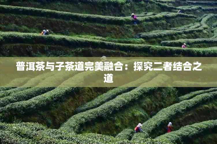 普洱茶与子茶道完美融合：探究二者结合之道