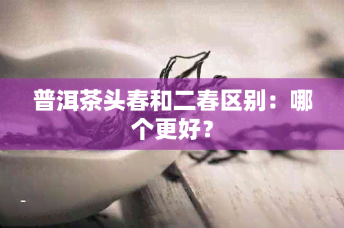 普洱茶头春和二春区别：哪个更好？