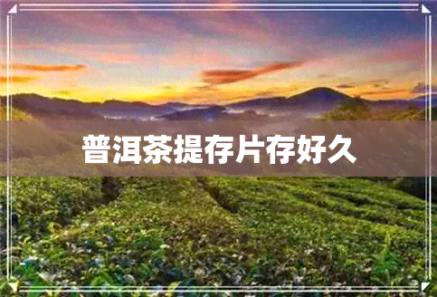 普洱茶提存片存好久