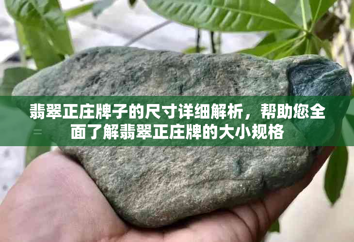 翡翠正庄牌子的尺寸详细解析，帮助您全面了解翡翠正庄牌的大小规格