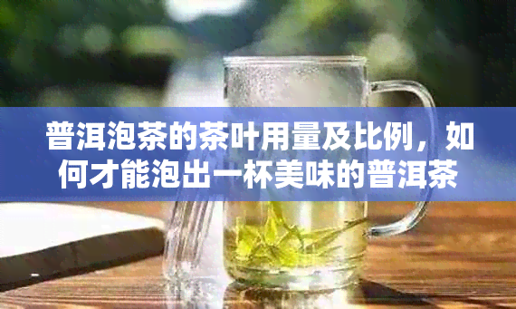 普洱泡茶的茶叶用量及比例，如何才能泡出一杯美味的普洱茶？