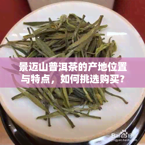 景迈山普洱茶的产地位置与特点，如何挑选购买？