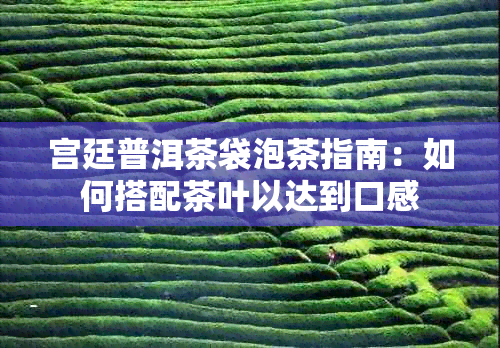 宫廷普洱茶袋泡茶指南：如何搭配茶叶以达到口感