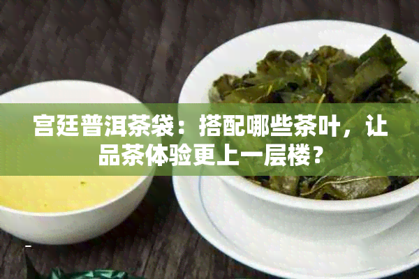 宫廷普洱茶袋：搭配哪些茶叶，让品茶体验更上一层楼？