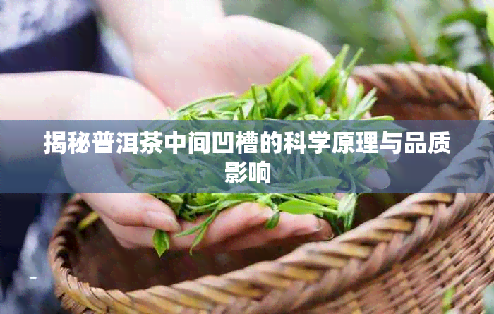 揭秘普洱茶中间凹槽的科学原理与品质影响