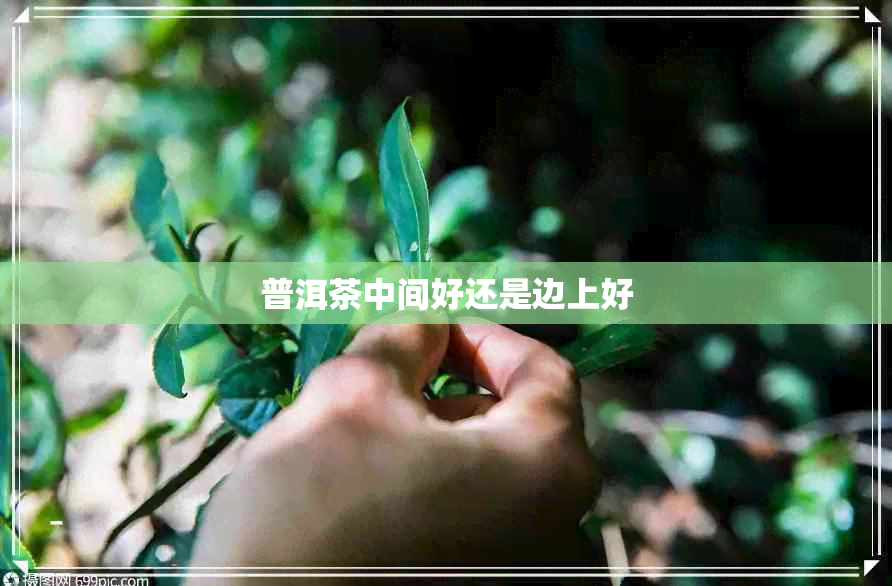 普洱茶中间好还是边上好