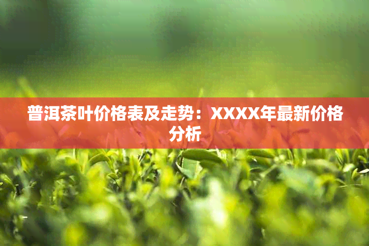 普洱茶叶价格表及走势：XXXX年最新价格分析