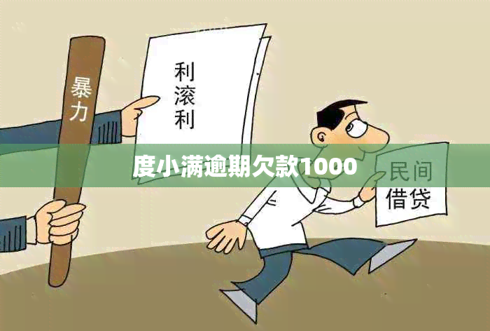 度小满逾期欠款1000