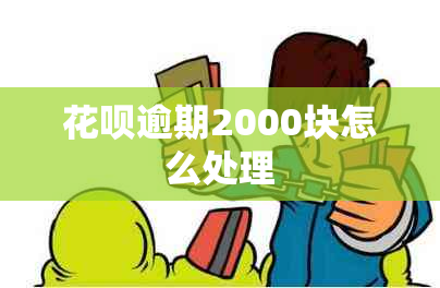 花呗逾期2000块怎么处理