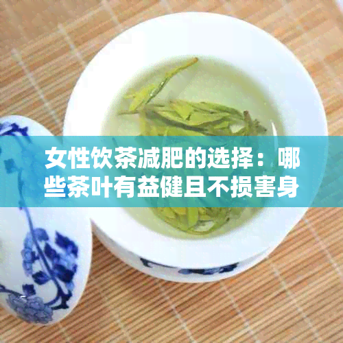 女性饮茶减肥的选择：哪些茶叶有益健且不损害身体？