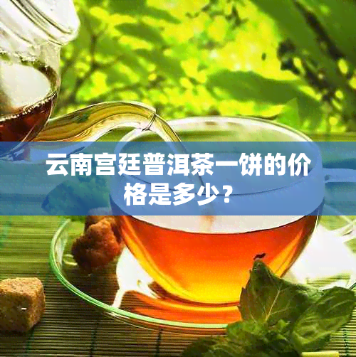 云南宫廷普洱茶一饼的价格是多少？