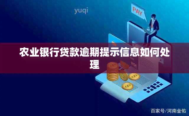 农业银行贷款逾期提示信息如何处理