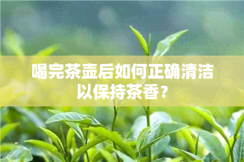 喝完茶壶后如何正确清洁以保持茶香？