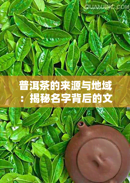 普洱茶的来源与地域：揭秘名字背后的文化和历