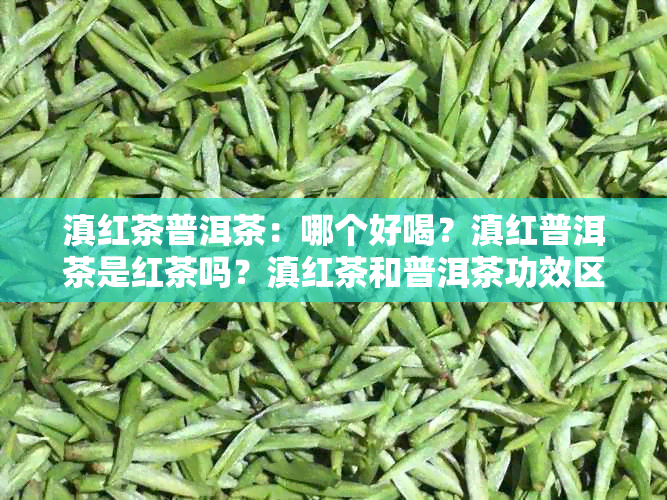 滇红茶普洱茶：哪个好喝？滇红普洱茶是红茶吗？滇红茶和普洱茶功效区别