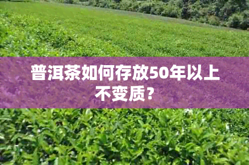 普洱茶如何存放50年以上不变质？