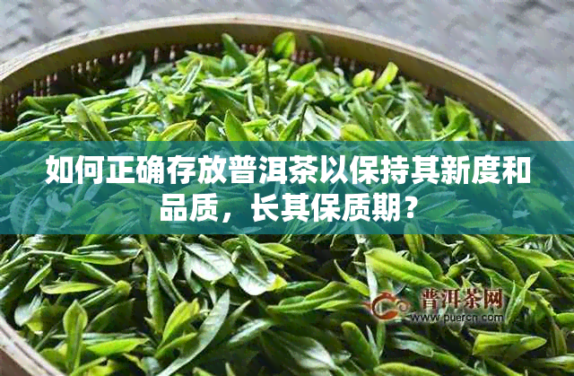 如何正确存放普洱茶以保持其新度和品质，长其保质期？