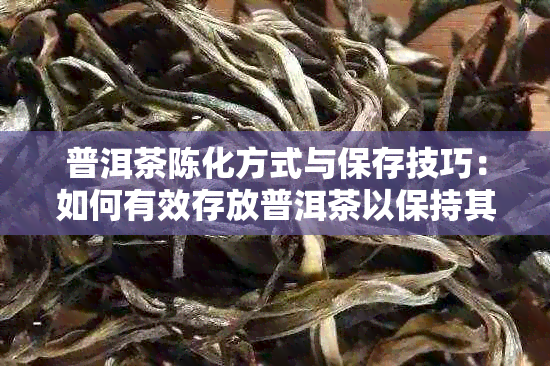 普洱茶陈化方式与保存技巧：如何有效存放普洱茶以保持其口感和品质？