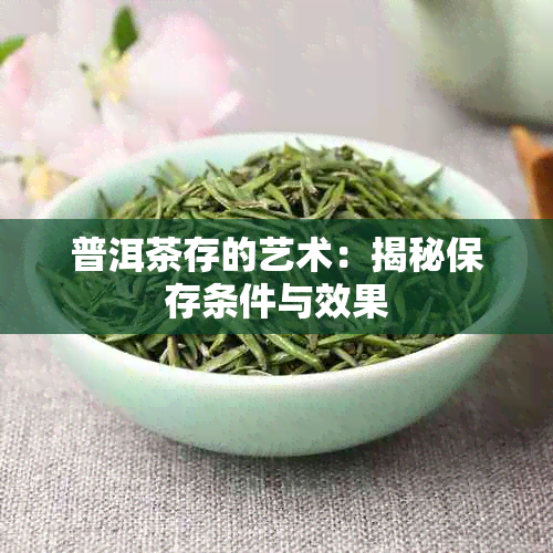 普洱茶存的艺术：揭秘保存条件与效果