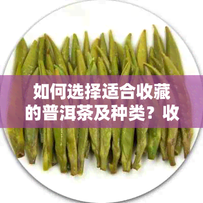 如何选择适合收藏的普洱茶及种类？收藏普洱茶的建议