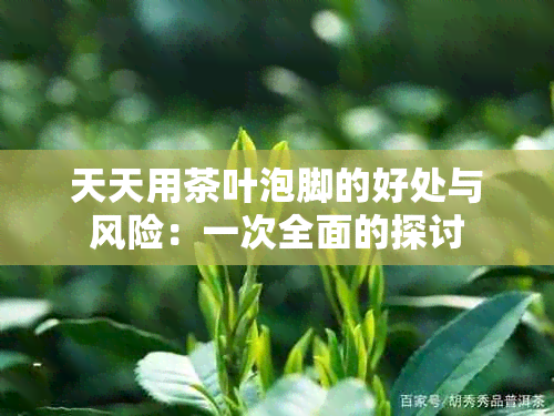 天天用茶叶泡脚的好处与风险：一次全面的探讨