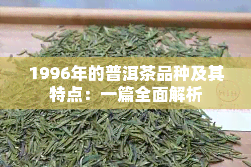 1996年的普洱茶品种及其特点：一篇全面解析